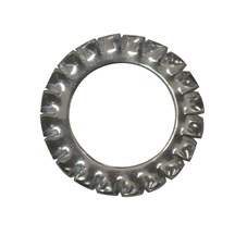 Podložka vějířová  10   DIN 6798 A zinek bílý