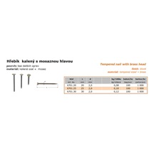 Hřebík kalený s Ms hlavou 2,0x25mm  6701.25