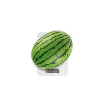 Digitální kuchyňská váha ACCURA 15.0 kg