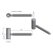 Závěs dveřní 80/10 M8x80           VD    Zn žlutý