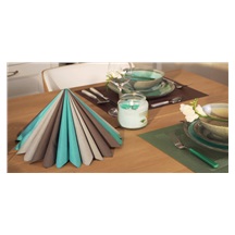 Ubrousky FANCY HOME, tyrkysová