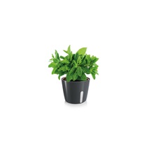 Obal na květináč SENSE, kulatý, zelený