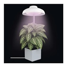 Lampa pěstební LED GROW 5 W, časovač, bílá