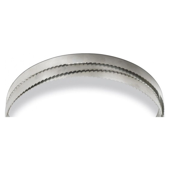 Pilový pás 2562x10x0,65 06" Dřevo