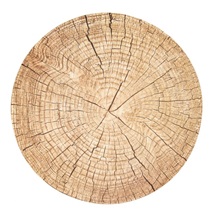 Prostírání korek WOODEN pr. 38 cm