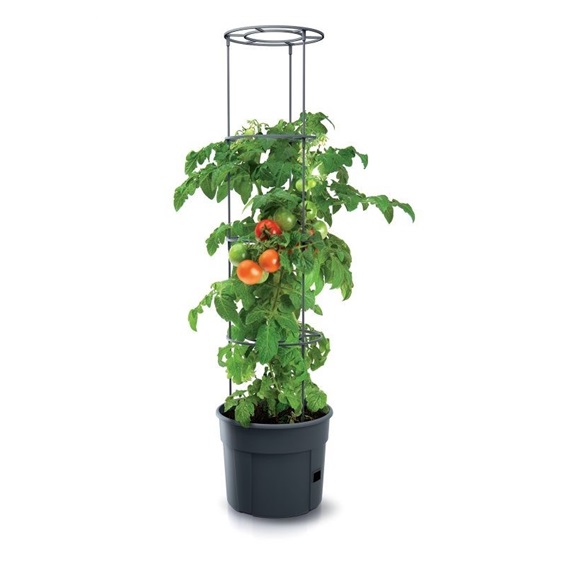 Květináč na pěstování rajčat TOMATO GROWER antracit 29,5cm (max. výška: 115,2cm)