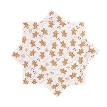 Ubrousek papír PERNÍČEK 20 ks 33x33 cm