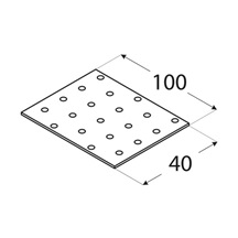 destička perforovaná 100x40x2,0 mm