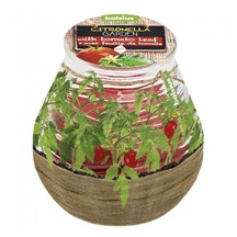 Svíčka bolsius Teracce Citronella, repelentní, 94/91 mm, rajče