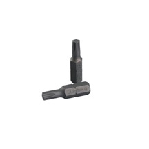 Bit TORX 25x25mm  2ks 18828A (prodej po balení)