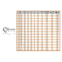 Oko se závitem M6x40   Zn 1207.064